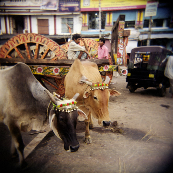 10-INDIA. Puri (Orissa), carri
